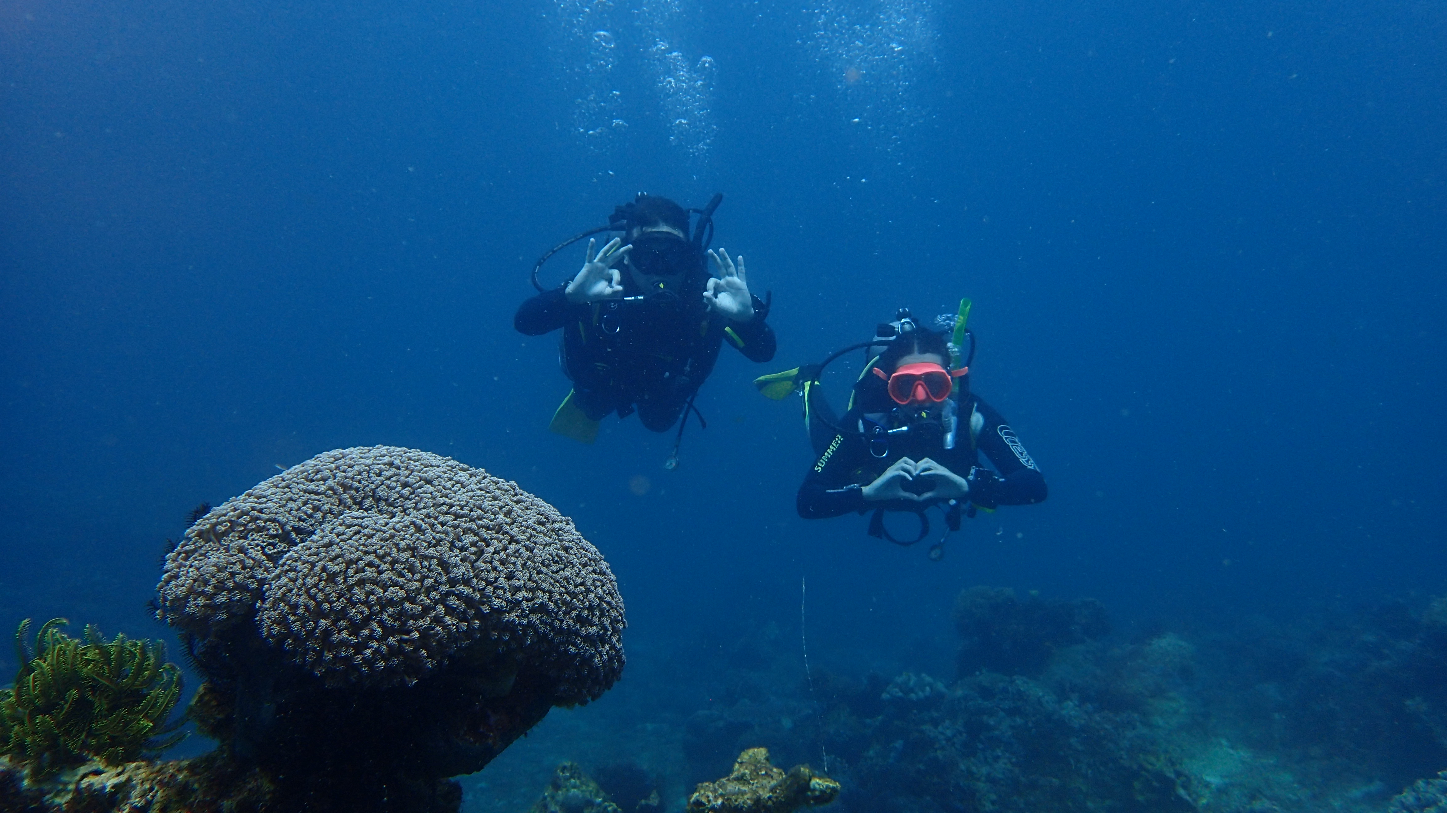 Two scuba divers exploring a vibrant coral reef underwater, surrounded by colorful marine life and clear blue water.